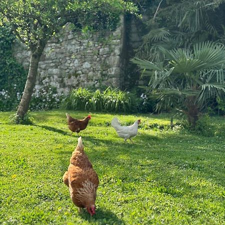B&B Antico Fienile Gorizia Luaran gambar