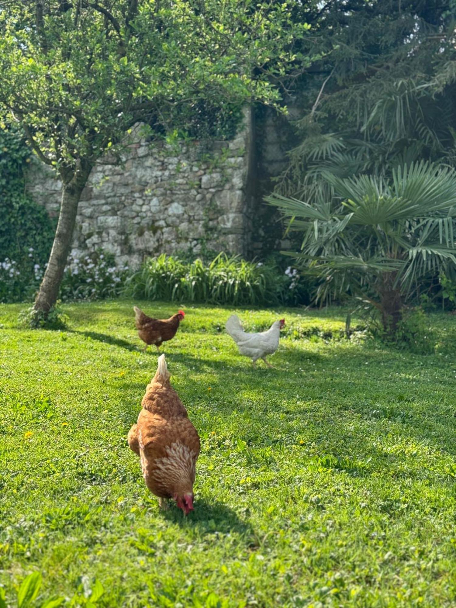 B&B Antico Fienile Gorizia Luaran gambar